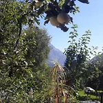 Adlers Arlberg *