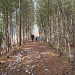 Adlers Arlberg Lägenhet *