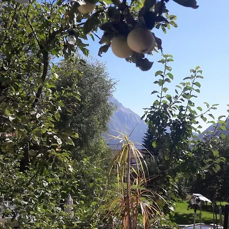 Adlers Arlberg *