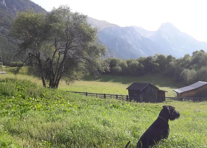 Adlers Arlberg شقة