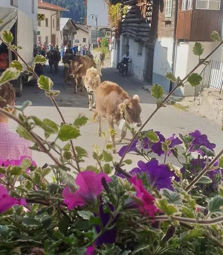 شقة Adlers Arlberg بيتنيو آم أرلبرغ