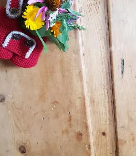 شقة Adlers Arlberg بيتنيو آم أرلبرغ