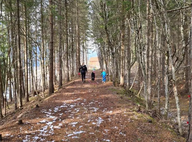 Adlers Arlberg شقة *