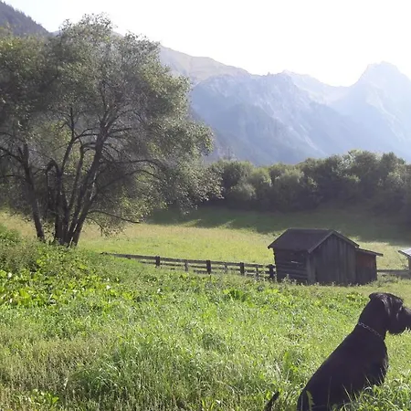Adlers Arlberg Daire
